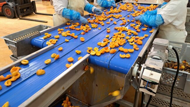 convoyeur à bande lisse-Anvitech-Virazeil (4)