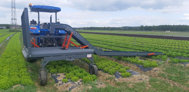 récolteuse à salades-Anvitech-Virazeil (3)