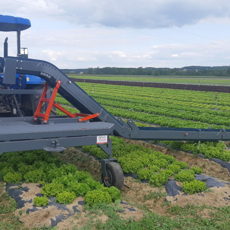 récolteuse à salades-Anvitech-Virazeil (3)